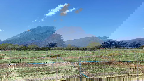 ที่ดิน อ.เชียงดาว จ.เชียงใหม่ วิวดอยหลวง 4 ไร่ 🔥 5 ล้าน 🔥