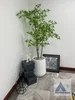 listing thumbnail image 3
