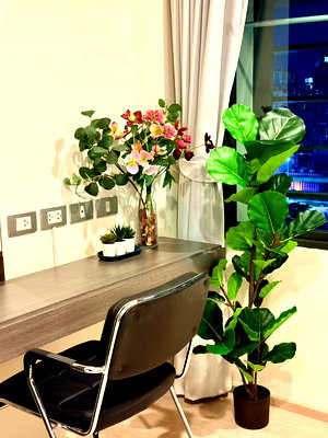 คอนโดให้เช่า : 🎊 ให้เช่าคอนโด ริทึ่ม อโศก 2 อาคาร 1 ชั้น 21 1 ห้องนอน ขนาด 28 ตรม ใกล้ ฟอร์จูน ทาวน์