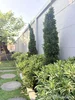 listing thumbnail image 32