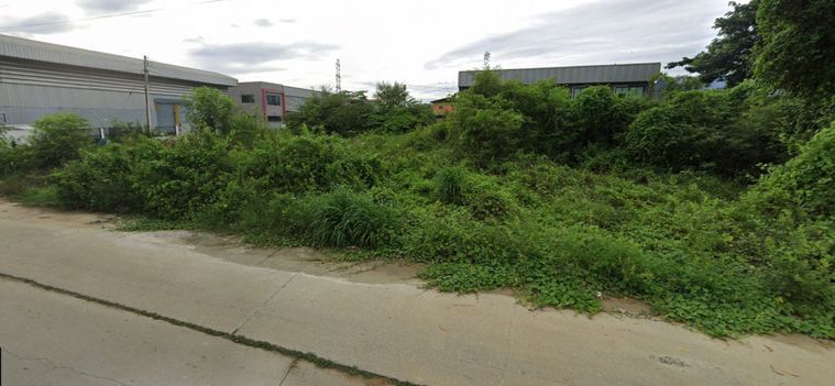 ขาย ที่ดิน ทำเลทอง 1-3-3.6 ไร่ หน้าไม้ ลาดหลุมแก้ว ปทุมธานี