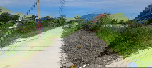 ขายที่ดินเปล่า ย่านคลองรังสิต-คลองสอง  คลวงหลวง ปทุมธานี