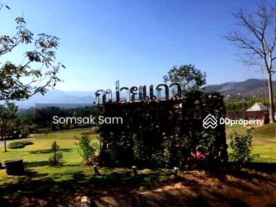 Land for sale : Land for sale, Pai District, Mae Hong Son Province, 12 rai.