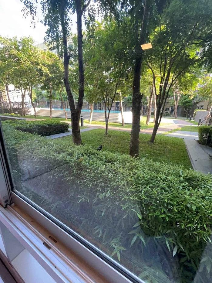 รูป ให้เช่าคอนโด พลัม อไลฟ์ 2 รังสิต ชั้น1 เฟอร์ครบ พร้อมเครื่ีองซักผ้า - รูปที่ 7/7