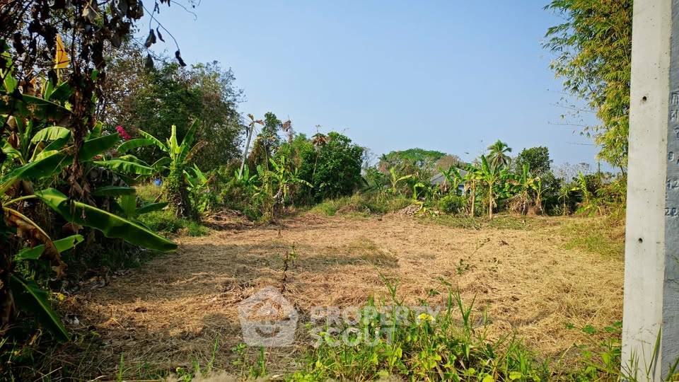 รูป ที่ดินสำหรับปล่อยขาย 1,346.8 ตารางเมตร แถว ใน ขี้เหล็ก (ID 2721049) - รูปที่ 4/10
