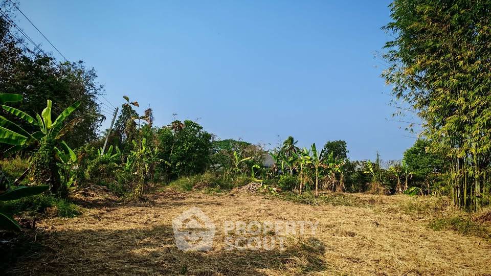 รูป ที่ดินสำหรับปล่อยขาย 1,346.8 ตารางเมตร แถว ใน ขี้เหล็ก (ID 2721049) - รูปที่ 2/10