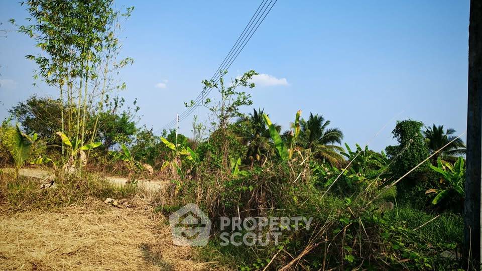 รูป ที่ดินสำหรับปล่อยขาย 1,346.8 ตารางเมตร แถว ใน ขี้เหล็ก (ID 2721049) - รูปที่ 10/10