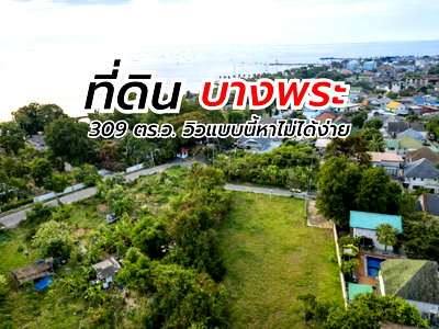 ที่ดิน ตลาดสามย่าน แกลง : ขายที่ดินแปลงสวย 309 ตรว. ฝั่งทะเลบางพระ ศรีราชา