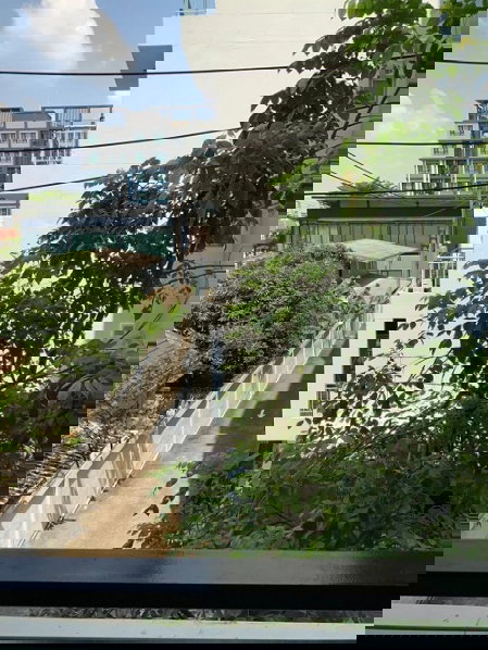 รูป ให้เช่า คอนโด THE CUBE PREMIUM รัชดา 32 ชั้น3 มีเครื่องซักผ้า ของครบ เพียง 12,000 บาท เท่านั้น - รูปที่ 16/16