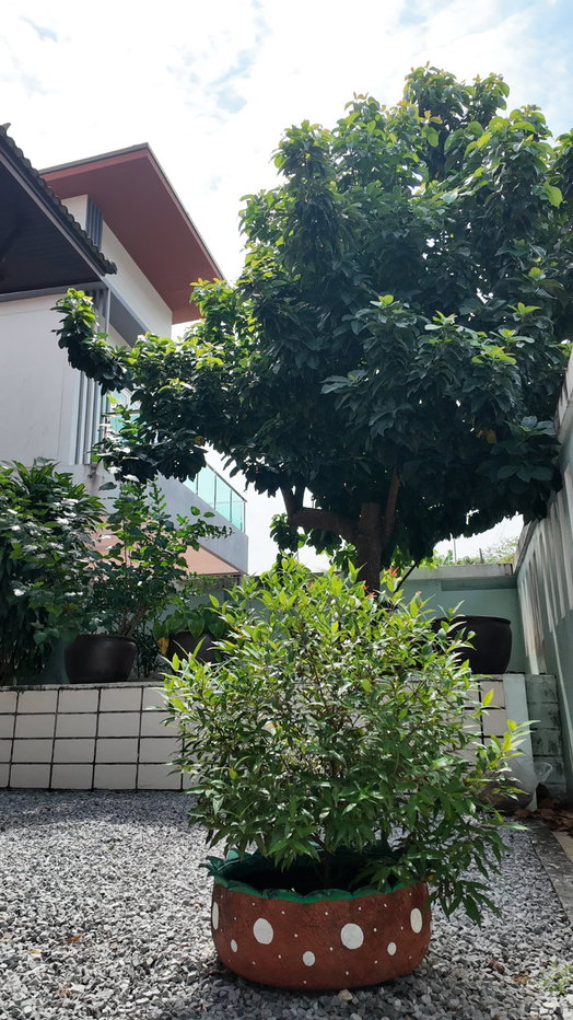 รูป บ้านที่ถูกดีไซน์ด้วยความรัก ความใส่ใจ หมู่บ้านมณีคราม - รูปที่ 5/28