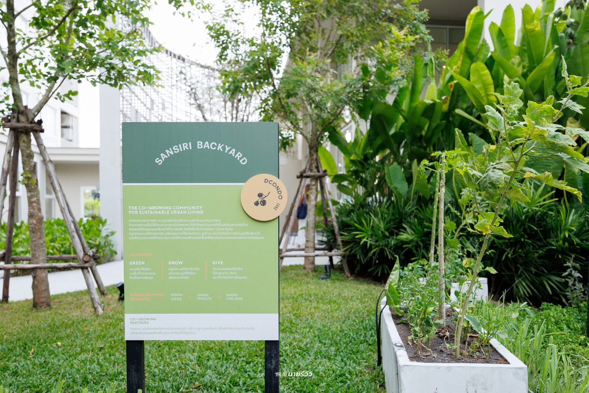 รูป ✨ ขายคอนโด ดีคอนโด แซนด์ หาดใหญ่ – สตูดิโอ 29.24 ตร.ม. คอนโดจากแสนสิริ 🌴 พร้อมอยู่! - รูปที่ 13/20