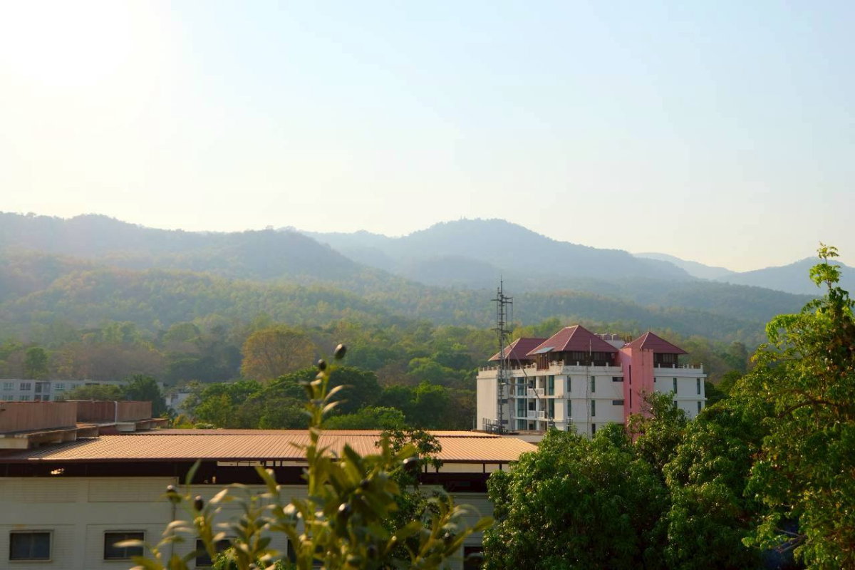 รูป Penthouse คอนโดธารทิพย์ การ์เด้นเพลส   หลัง มช. ใกล้ประตูวิศวะ เพียง 250 เมตร ราคาพิเศษ  4.49  ลบ. 📌  ( ฟรีค่าโอน  มีโควต้าต่างชาติ ) - รูปที่ 21/21