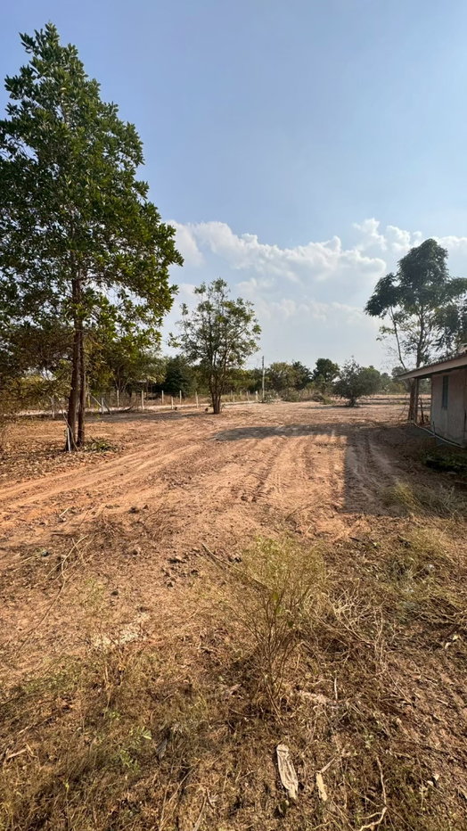 รูป ที่ดินพร้อมบ้านพัก ขนาด 5 ไร่ มีน้ำประปา ไฟฟ้า พร้อมใช้ - รูปที่ 4/7