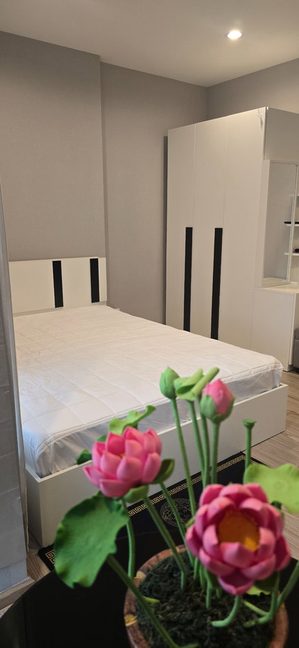 picture Condo fore: The Tree Hua Mak Interchange 12,000 THB/month - 1/21