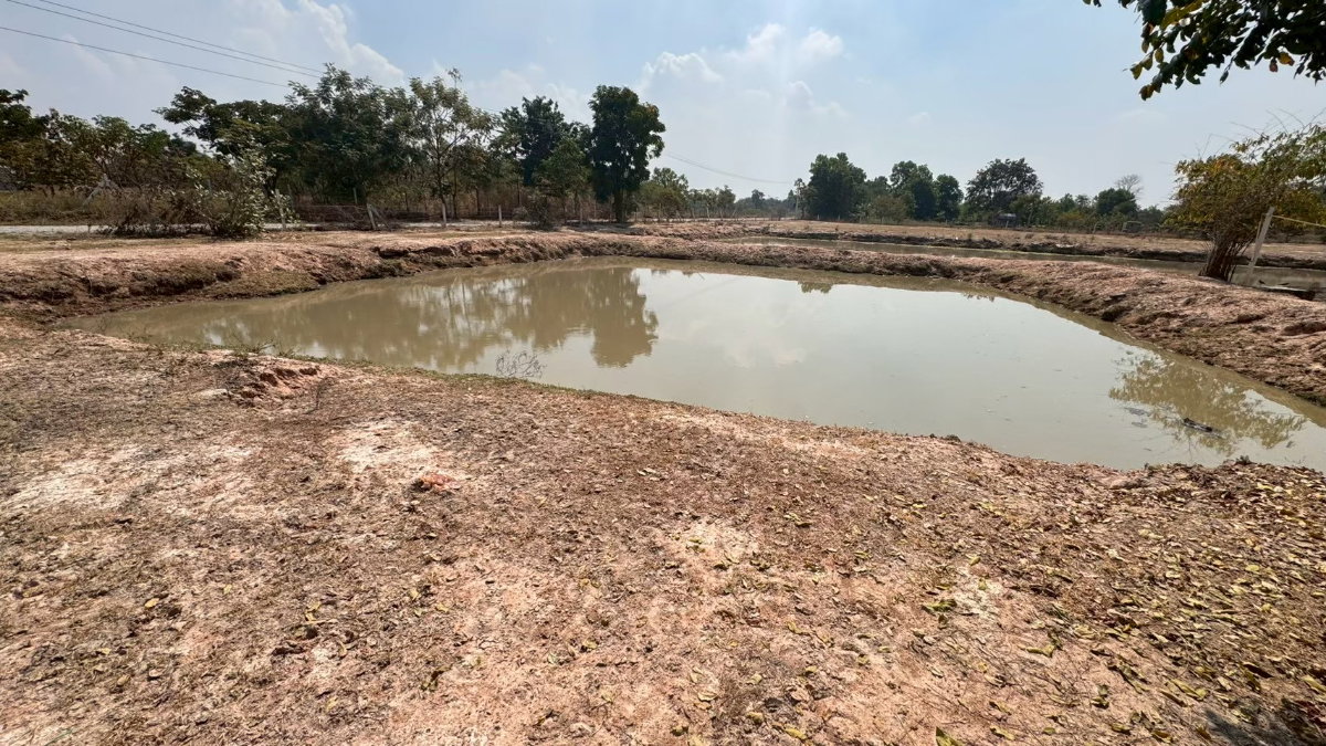 รูป ที่ดินพร้อมบ้านพัก ขนาด 5 ไร่ มีน้ำประปา ไฟฟ้า พร้อมใช้ - รูปที่ 5/7