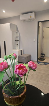 ให้เช่าคอนโด เดอะทรี หัวหมาก 12000บาท/เดือน