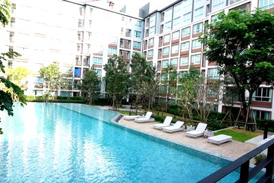 Condos for rent 700 Year Sports Arena Chiang Mai : 🏢 Condo for Rent – D Condo Ping, Chiang Mai | Building B | Pool & Garden View