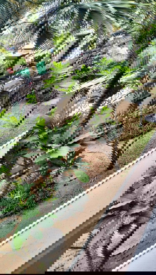 รูป ให้เช่าอาคาเดีย ใหม่ วิวเขาพระตำหนักบรรยากาศบ้านพักตากอากาศ - รูปที่ 8/27