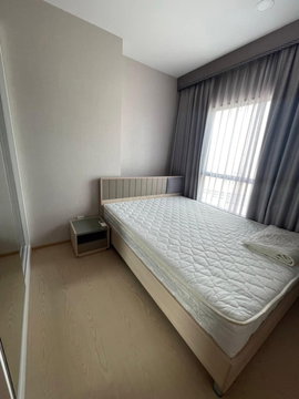 🌳🌳For rent The Tree sukhumvit 71 🌳🌳 ห้องสวย พร้อมอยู่ แต่งสวย จัดเต็ม มีหลายห้องให้เลือกชม ID LINE : @190evxgl