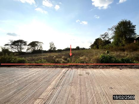 รูป ที่ดินว่างเปล่า 6261 ตร.วา หนองกุงศรี กาฬสินธุ์ 5M - รูปที่ 19/22