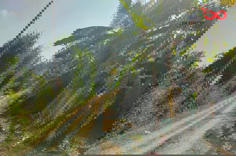 รูป ขายที่ดิน 2 ไร่ แปลงสวย 8 ตรว. ถนนจารุวร อำเภอพนัสนิคม ชลบุรี  - รูปที่ 2/6