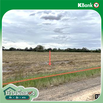 รูป ที่ดินว่างเปล่า 697 ตร.วา พยัคฆภูมิพิสัย มหาสารคาม 436,000 - รูปที่ 10/12