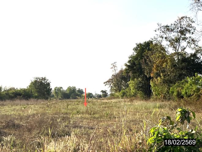 รูป ที่ดินว่างเปล่า 6261 ตร.วา หนองกุงศรี กาฬสินธุ์ 5M - รูปที่ 3/22