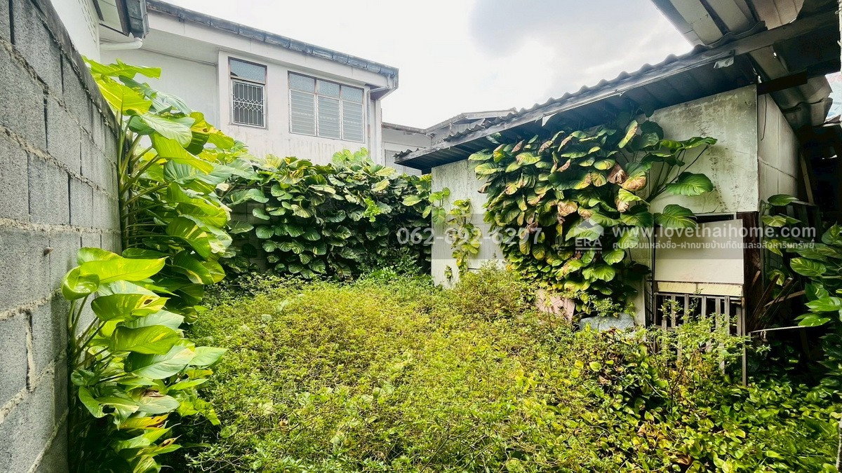 รูป ขายที่ดิน สุโขทัย5เขตดุสิต แปลงสวย ทำเลทอง ขนาด 32.5 ตารางวา ราคาเพียงแค่ 4.2 ล้านบาท (เพียง 129,230 บาท/ตรว.) โอกาสหายากมาก รีบตัดสินใจก่อนหลุดมือ!! - รูปที่ 4/10