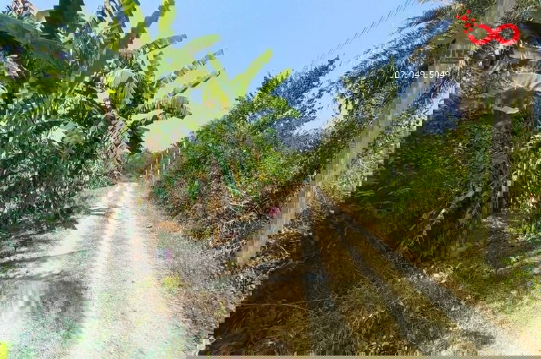 รูป ขายที่ดิน 2 ไร่ แปลงสวย 8 ตรว. ถนนจารุวร อำเภอพนัสนิคม ชลบุรี  - รูปที่ 5/6