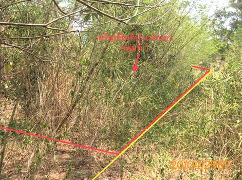 picture LAND 663 Sq.w. Khlong Thom Krabi for 2.9M - 17/20