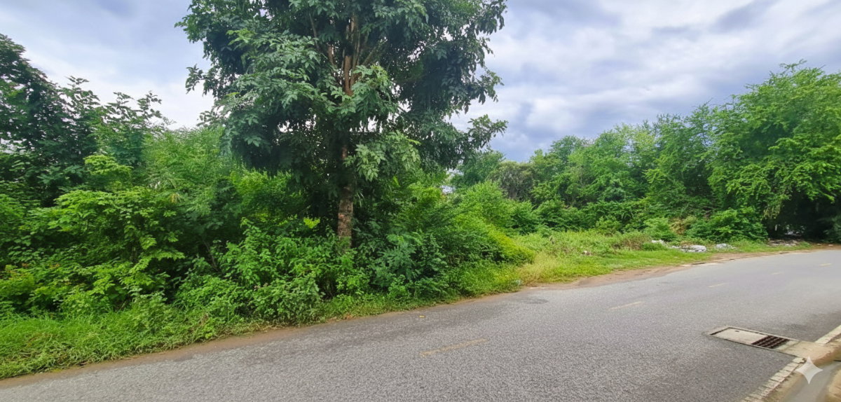 รูป 🚨 ขายด่วน! ที่ดินกลางเมืองกาญจนบุรี ใกล้โรบินสัน แค่ 1 นาที 🚨 ทำเลแบบนี้… ช้า = พลาดจริง! - รูปที่ 5/6