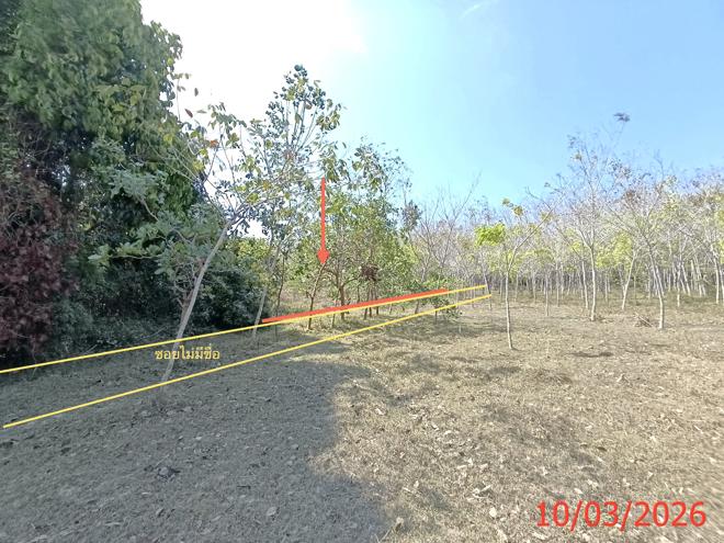 picture LAND 3554 Sq.w. Na Mom Songkhla for 4.6M - 5/22