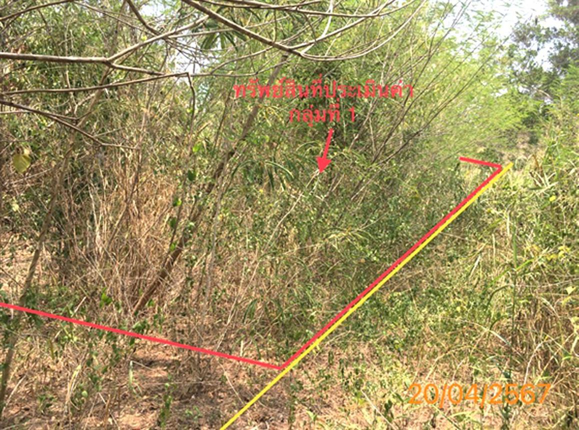 picture LAND 663 Sq.w. Khlong Thom Krabi for 2.9M - 9/20