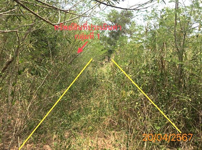 picture LAND 663 Sq.w. Khlong Thom Krabi for 2.9M - 2/20