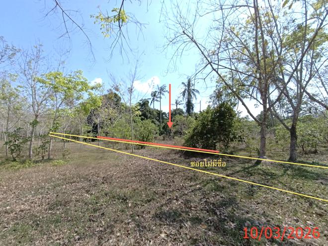 picture LAND 3554 Sq.w. Na Mom Songkhla for 4.6M - 4/22