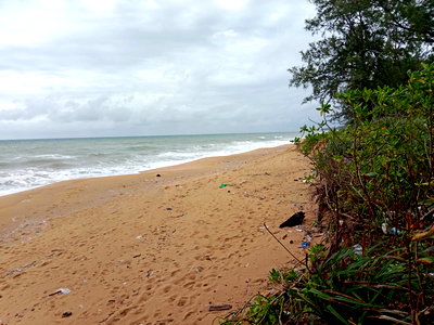 ที่ดิน สนามบินภูเก็ต : ขายที่ดินแปลงสวยติดทะเลหาดไม้ขาว อ.ถลาง จ.ภูเก็ต พื้นที่ 15 ไร่