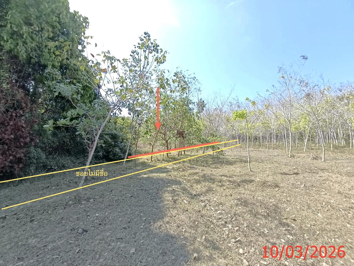 picture LAND 3554 Sq.w. Na Mom Songkhla for 4.6M - 14/22
