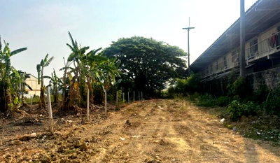 Land for sale Sam Phran Nakhon Pathom : Land for sale in Sampran, Soi 12, Nakhon Pathom