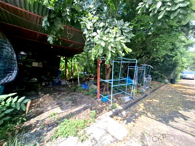 ที่ดิน รังสิต-นครนายก 60 : ที่ดินเปล่าทำเลดี รังสิต-นครนายก ใกล้ฟิวเจอร์รังสิตและดรีมเวิลด์ ขนาด 148 ตร.วา เหมาะสร้างบ้านหรือเก็บลงทุนในอนาคต | รหัส 93352