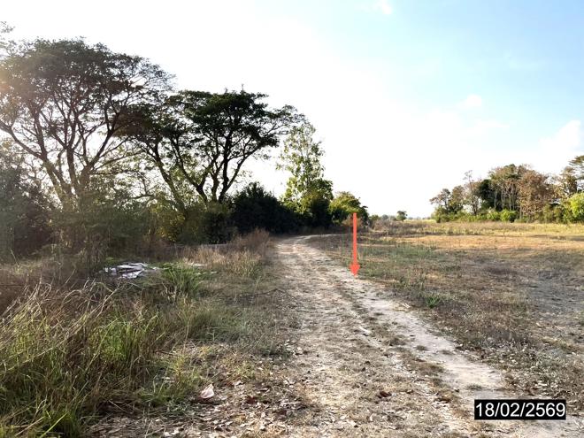 รูป ที่ดินว่างเปล่า 6261 ตร.วา หนองกุงศรี กาฬสินธุ์ 5M - รูปที่ 4/22