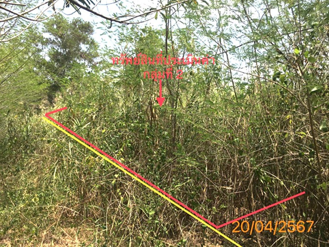 picture LAND 663 Sq.w. Khlong Thom Krabi for 2.9M - 14/20
