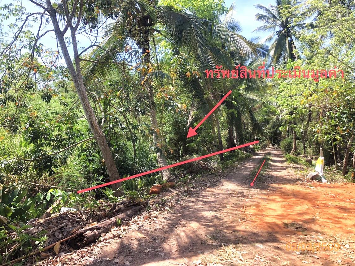 picture LAND 149.2 Sq.w. Muang Surat Thani Surat Thani for 746,000 - 9/14