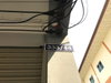listing thumbnail image 23