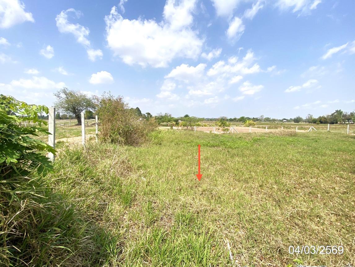 รูป ที่ดินว่างเปล่า 116 ตร.วา เมืองมหาสารคาม มหาสารคาม 406,000 - รูปที่ 10/16