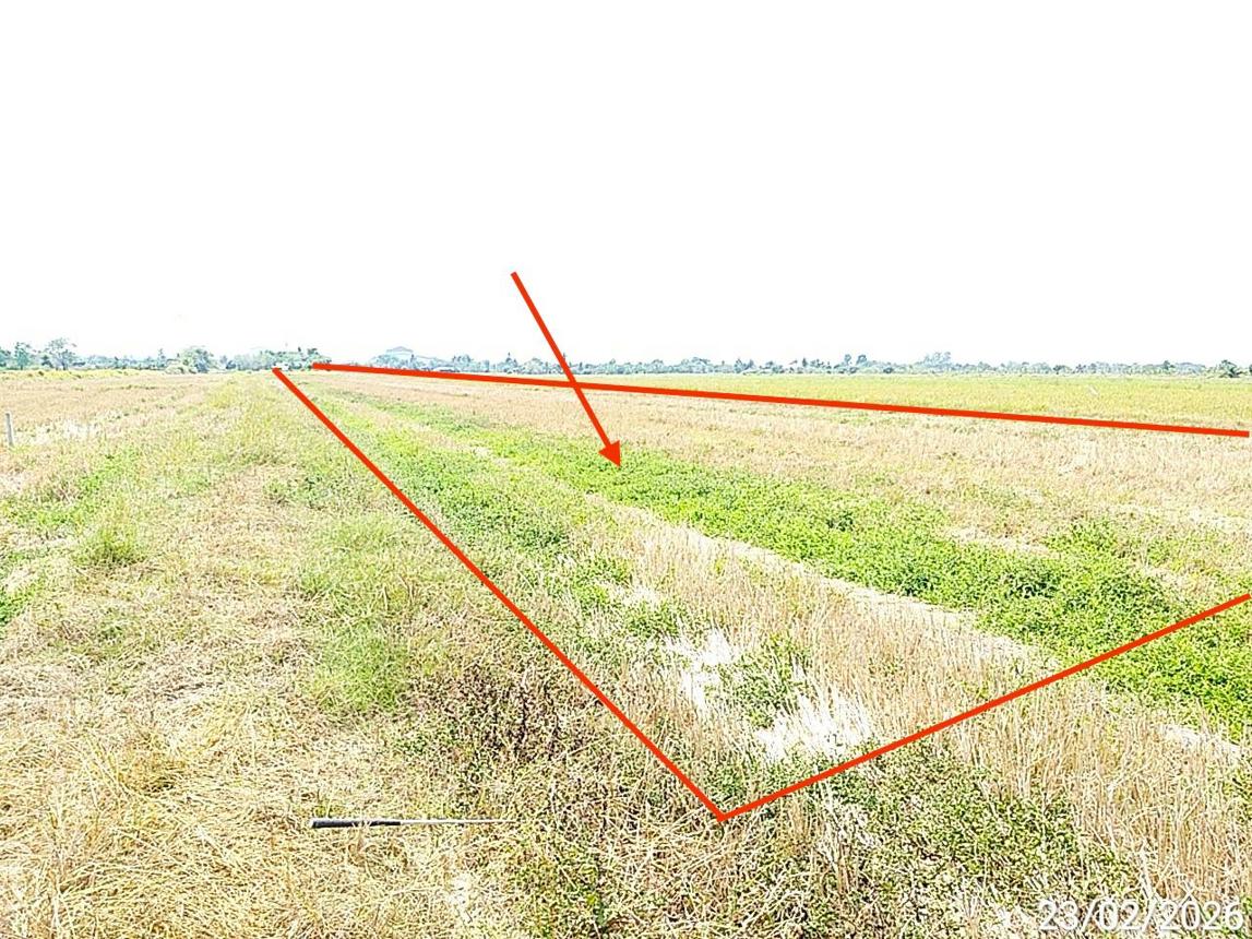 picture LAND 2000 Sq.w. Bang Nam Prieo Chachoengsao for 2M - 7/14