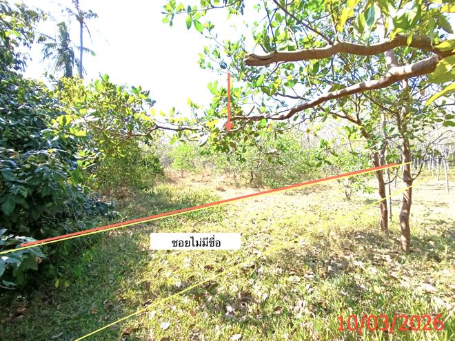 picture LAND 3554 Sq.w. Na Mom Songkhla for 4.6M - 3/22