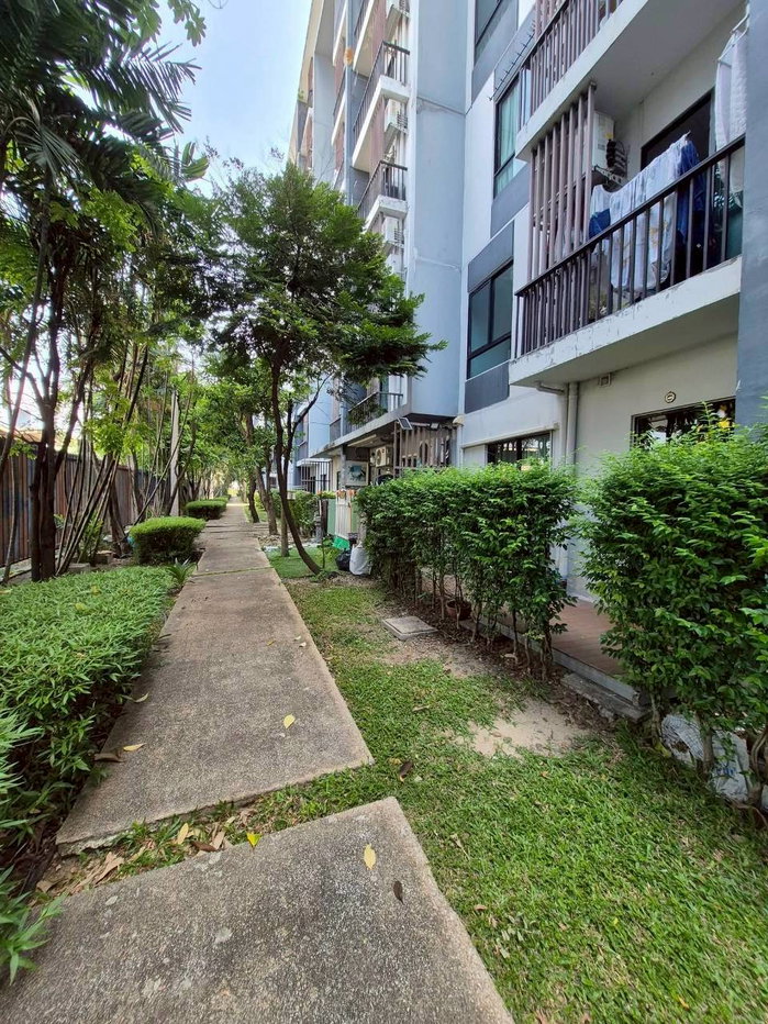 picture ✅ S-ISB114 ✅ Line : @p2nproperty - 11/13