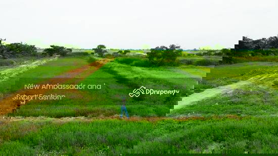 รูป ขายที่ดินเปล่าพระอาจารย์ องครักษ์ นครนายก 8แปลง 100-150ตรว - รูปที่ 3/4