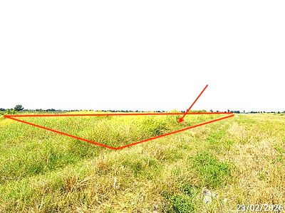 LAND 2000 Sq.w. Bang Nam Prieo Chachoengsao for 2M