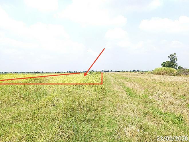 picture LAND 2000 Sq.w. Bang Nam Prieo Chachoengsao for 2M - 3/14